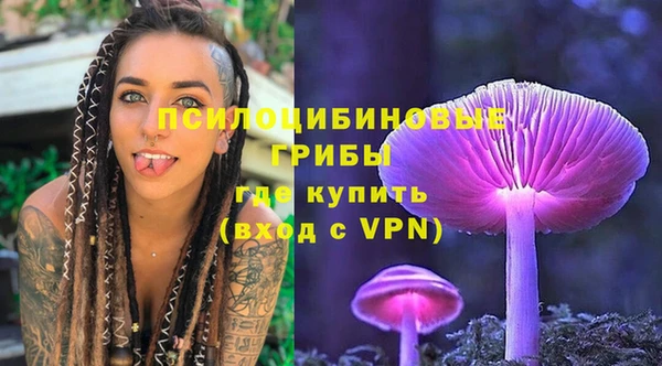 гашик Кукмор