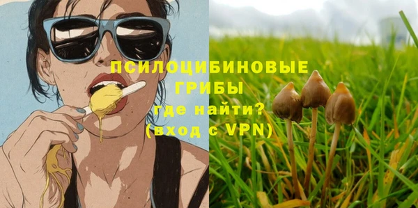 хмурый Кулебаки