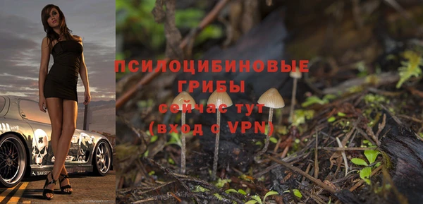 гашик Кукмор