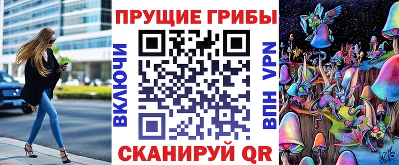 Галлюциногенные грибы мицелий  Купить  Кудрово 